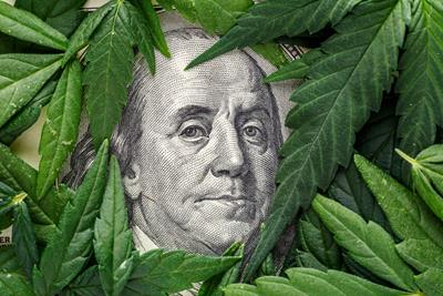 Picture of a dollar bill with Benjamin Franklin's face in the center, surrounded by weed leaves.