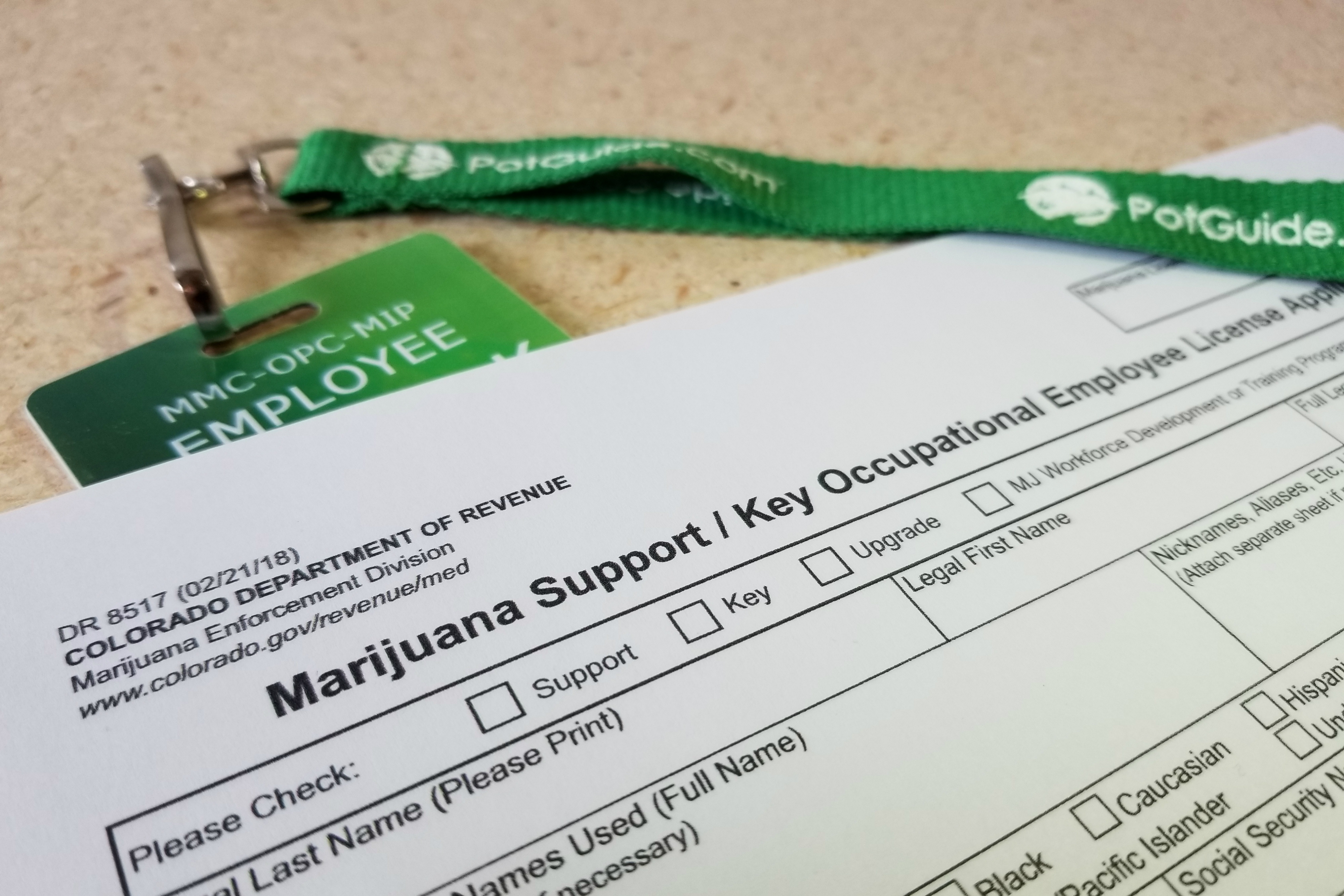 How To Get Your Colorado Med Badge And Start Working In Cannabis Potguide Com