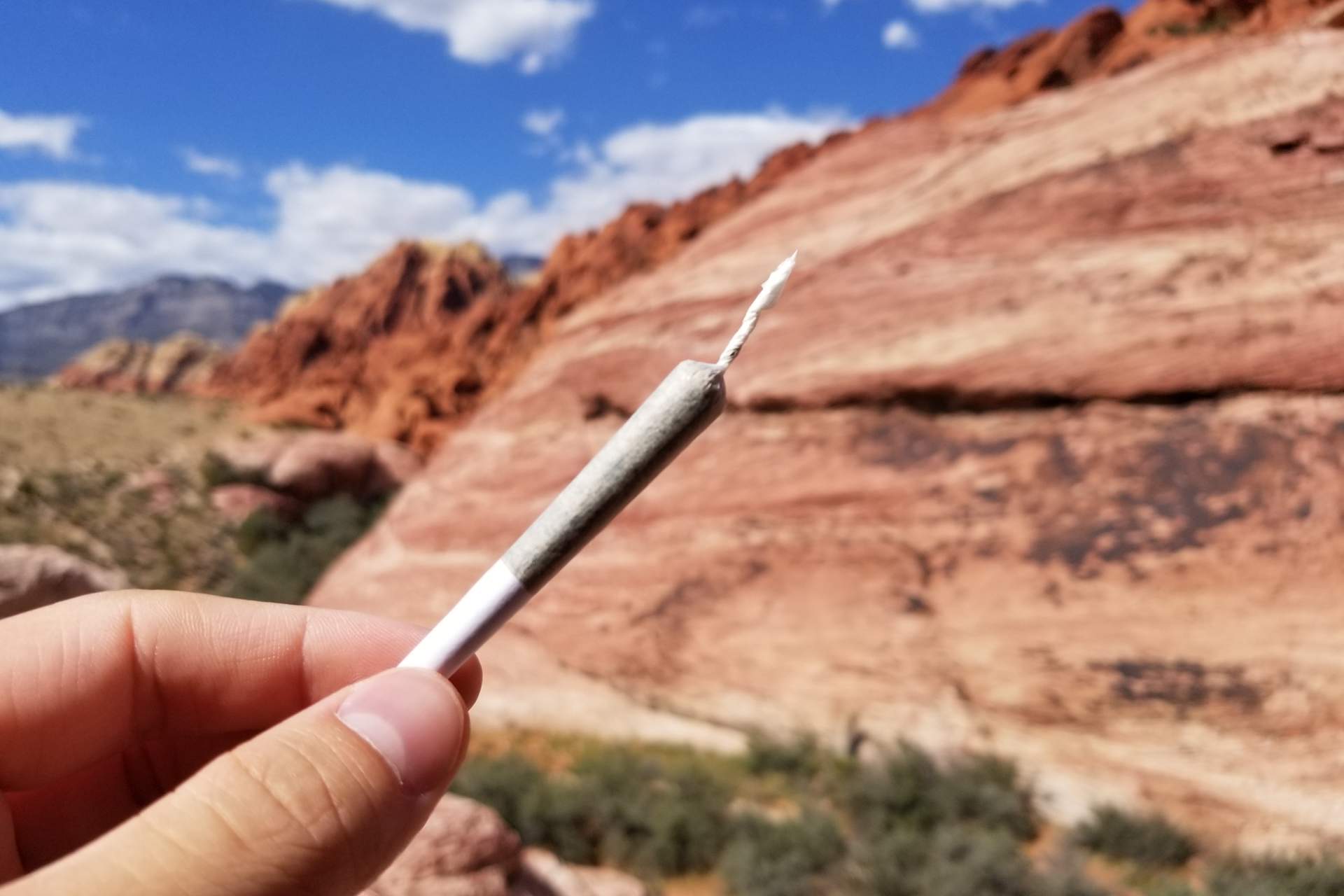Hiking with Cannabis: Dos and Don'ts | PotGuide