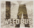 Weed Bus LA