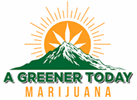 A Greener Today Marijuana