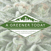 A Greener Today Marijuana - Shoreline