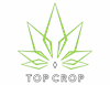 Top Crop - Eugene