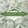A Greener Today Marijuana - S Seattle