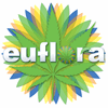 Euflora - 3D