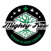 Mighty Tree - Delaware St
