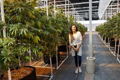 Person on a cannabis tour in a grow room