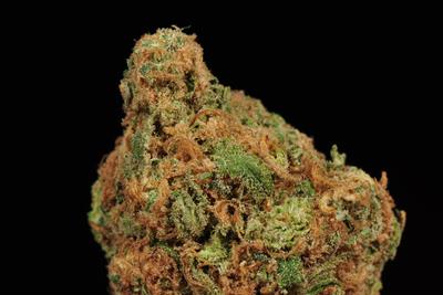 A dense nug of cannabis flower.