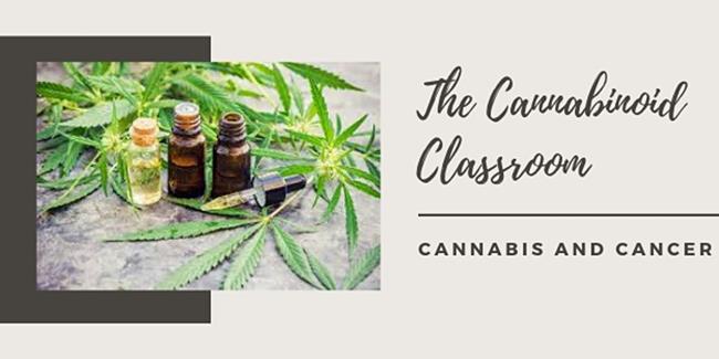 The Cannabinoid Classroom