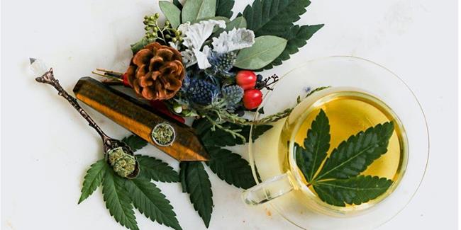 Introduction to Cannabis for Self-Discovery and Healing