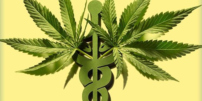 Cannabis Nursing 101