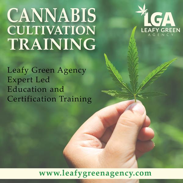 Cannabis Commercial Cultivation Training for Business and Employment (11/17)