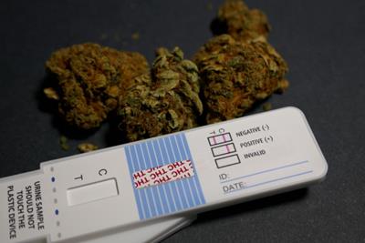 A drug test that detects THC-COOH next to weed nugs