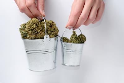 Small silver pails filled with cannabis flower, symbolizing space buckets.
