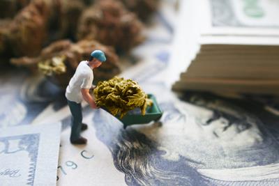 Little toy figure moving cannabis around in tiny plastic wheelbarrow on top and beside United States dollar bills