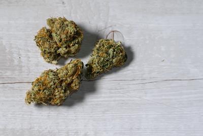 Three light green cannabis nuggets, lying on a white wooden table, that are grouped together in the left hand corner with orange hairs popping out