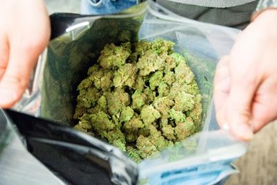 Photo of the inside of a bag of cannabis at a recreational marijuana dispensary